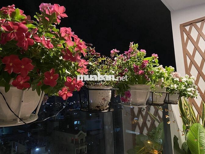 🏡Emerald cần cho thuê căn 3PN (104m2), full NT đẹp, giá 20tr, view đẹp