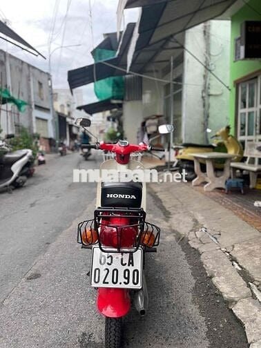 Honda Cub 2024 Đỏ Trắng