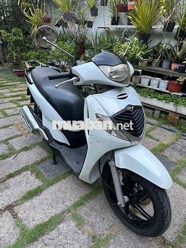 Honda SH 150i 2009 Trắng Ý