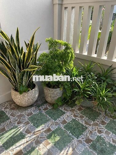 Cho Thuê nhà 2 tầng, 4PN đường ĐÔNG HẢI 4, Hòa Hải, ĐN_ Giá 17tr/tháng