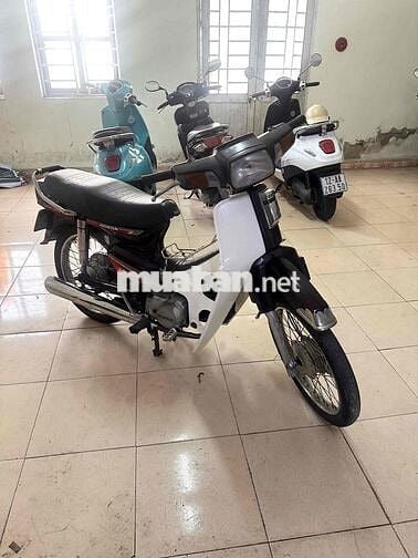 Honda Dream Thái Trắng Tím