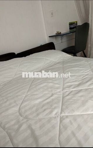 Cần bán căn hộ chung cư diện tích sử dụng 44m, ngay TT Q.1