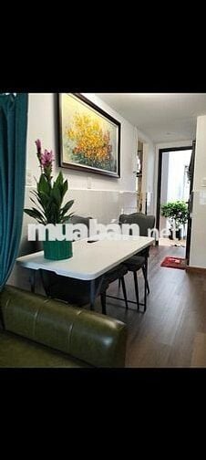Cần bán căn hộ chung cư diện tích sử dụng 44m, ngay TT Q.1