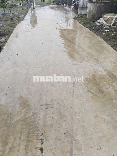 Đất vườn có 300m2 thổ cư, và nhà cấp 4 lớn