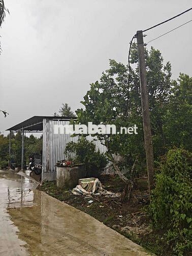 đất vườn có 300m2 thổ cư cây ăn trái