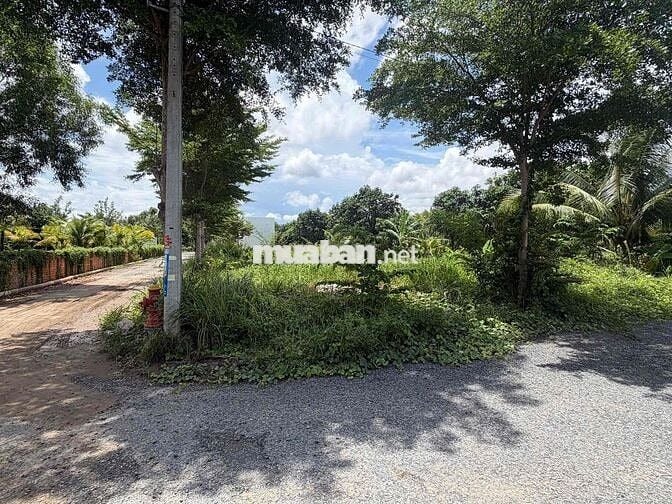 Bán đất thổ cư 2 mặt tiền phường long châu