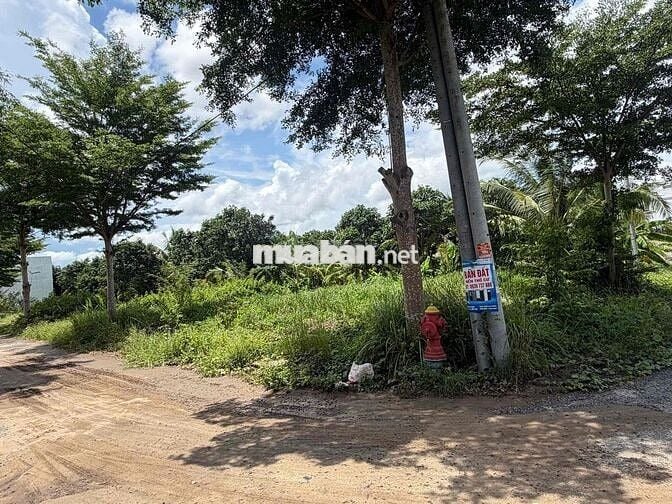 Bán đất thổ cư 2 mặt tiền phường long châu