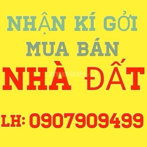 BÁN NHÀ HẺM XE TẢI ĐƯỜNG QUANG TRUNG, Q. GÒ VẤP 