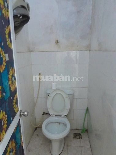 Cho thuê nhà cấp 4 có sân vườn, nhà kho, khu chăn nuôi