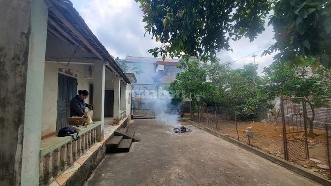 Cho thuê nhà cấp 4 có sân vườn, nhà kho, khu chăn nuôi