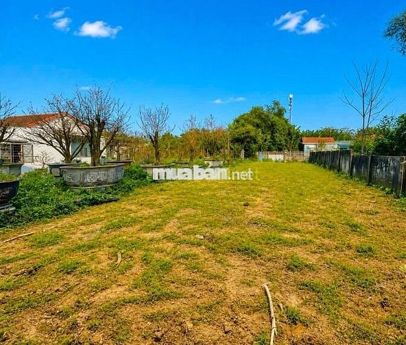 BÁN ĐẤT NỀN BIỆT THỰ TẠI P. ĐIỆN BÀN BẮC, DIỆN TÍCH 246m2, GIÁ 1Tỷ 850