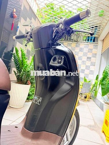 Honda Scoopy 2022 Tự động Nâu Đen