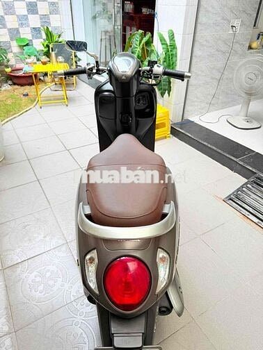 Honda Scoopy 2022 Tự động Nâu Đen