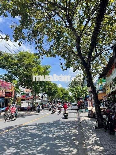 Nhà MT Tỉnh Lộ 10 6.5 x50 5 Tấm,nở hậu 9.3 m