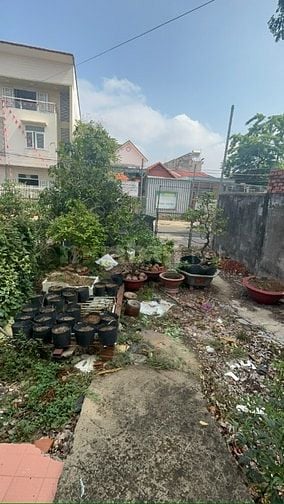 🏡 Cần bán gấp Nhà mặt tiền QL14 Đồng Xoài, từng cho thuê 20tr/tháng
