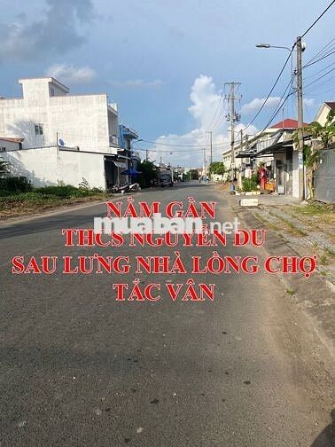 Bán đất NTTS sau lưng chợ Tắc Vân, gần THCS Nguyễn Du