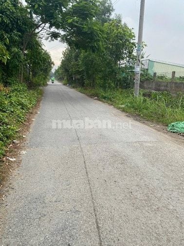 Cho thuê đất trống mặt tiền đường xe hơi AN PHÚ TÂY, BÌNH CHÁNH