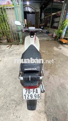 Honda Super Dream 2009 Nâu Trắng