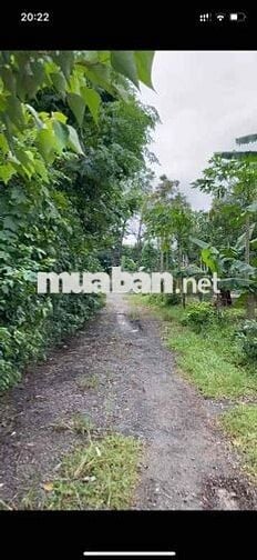 Thôn An Đồng, Xã Trung Sơn, Huyện Gio Linh, Tinh Quảng Trị.