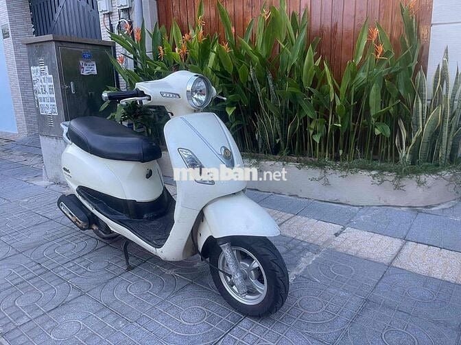 SYM Attila Elizabeth biển 72 máy êm bao đi