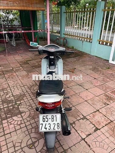 Honda Wave Alpha 2016 Trắng