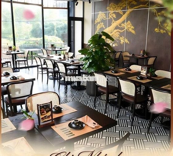 TÒA NHÀ MẶT TIỀN MAI THỊ LỰU QUẬN 1, TRỆT 4 LẦU, DTSD 450M2 - 100TR