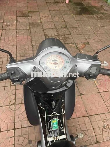 SYM Angela 50 2022 Xám