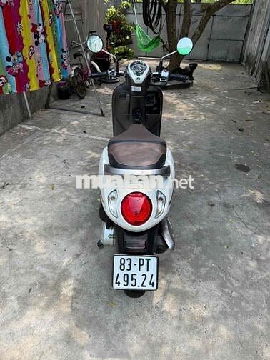Honda Scoopy Prestige Trắng Xe 2023