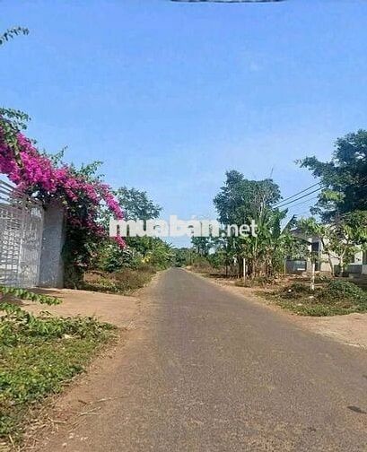 Ngay cổng chào Tây Ninh, Đất thổ cư 379m2 (10x37), 850 triệu, sổ riêng