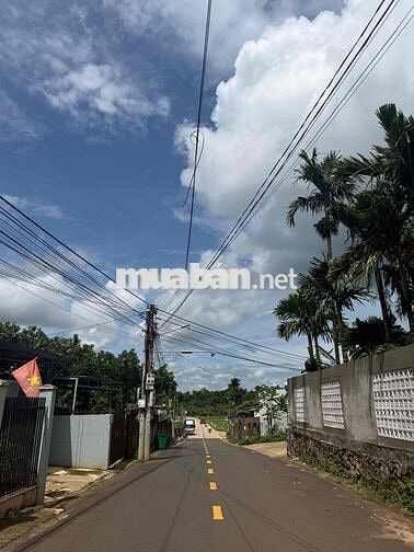 🌳 CHÍNH CHỦ BÁN ĐẤT ĐẸP THÔN TỰ THÀNH – PHƯỜNG EA KAO, ĐẮK LẮK