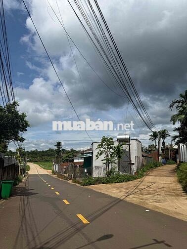 🌳 CHÍNH CHỦ BÁN ĐẤT ĐẸP THÔN TỰ THÀNH – PHƯỜNG EA KAO, ĐẮK LẮK