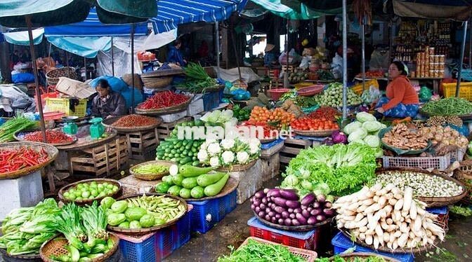 Đặng Văn Trước! Đất thổ cư 379m2 (10x37), 900 triệu, sổ riêng
