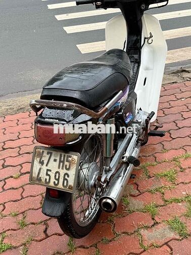Honda Dream Đen, Trắng