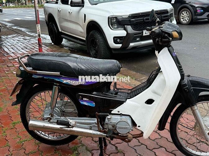 Honda Dream Đen, Trắng