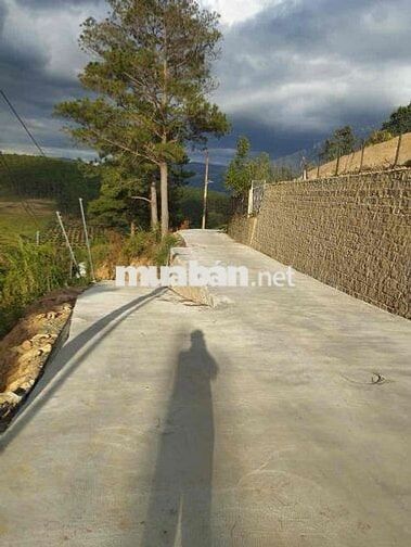 Cần bán đất Tà Nung, Tp Đà Lạt, Lâm Đồng