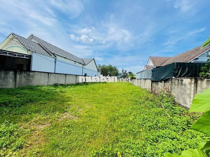 Lô đất đẹp 950tr (12x45) 535m2 đường nhựa 24m Tân An Hội, Củ Chi !