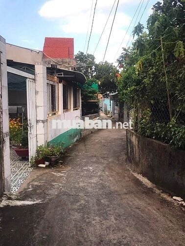 🏡 Chính Chủ Bán Nhà Đẹp 137 m2 Full Thổ -Ngang 8m-Gần TTHC Đại Phước