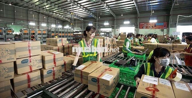 LƯƠNG NGÀY - ĐÓNG GÓI HÀNG MỸ PHẨM SỮA TÃ