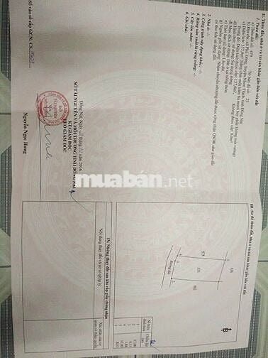 🏡 Chính Chủ Bán Nhà Đẹp 137 m2 Full Thổ -Ngang 8m-Gần TTHC Đại Phước