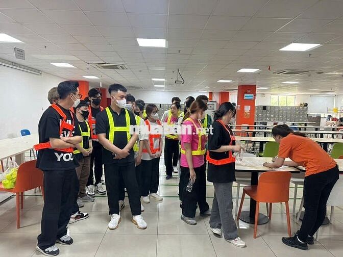 LƯƠNG NGÀY - ĐÓNG GÓI HÀNG MỸ PHẨM SỮA TÃ