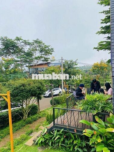 Kẹt tiền bán gấp Lô Đất khu Làng Omm, phường 2 Bảo Lộc