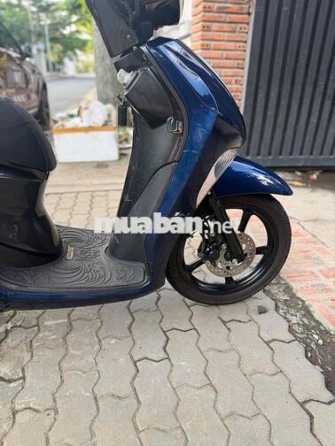 Yamaha Janus 2017