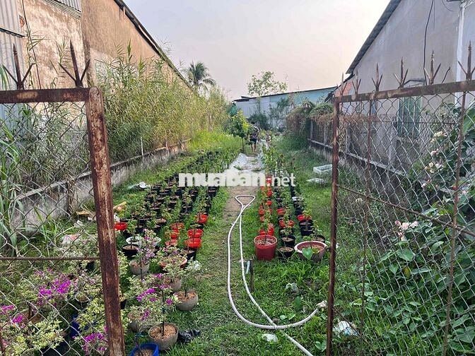 BÁN ĐẤT MẶT TIỀN ĐƯỜNG TÔ VĨNH DIỆN