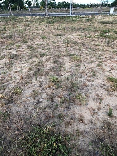 Bán nhanh lô đất mặt tiền đường tại Hội An tây  - Tp.Đà Nẵng :