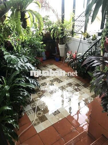 Phòng sạch mới có thiết kế chính chủ cho thuê