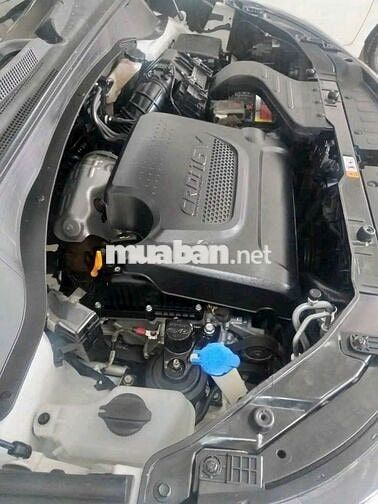 Kia Sorento 2018 7 chỗ Dầu Trắng