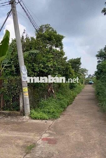 Bán 1.000m² đất 2 mặt tiền tại Xuân Thiện, Thống Nhất, Đồng Nai