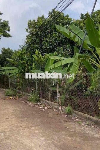 Bán 1.000m² đất 2 mặt tiền tại Xuân Thiện, Thống Nhất, Đồng Nai