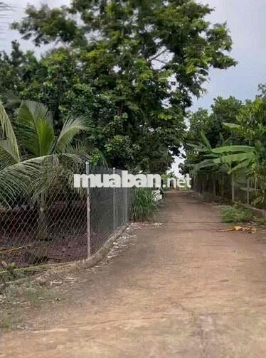 Bán 1.000m² đất 2 mặt tiền tại Xuân Thiện, Thống Nhất, Đồng Nai