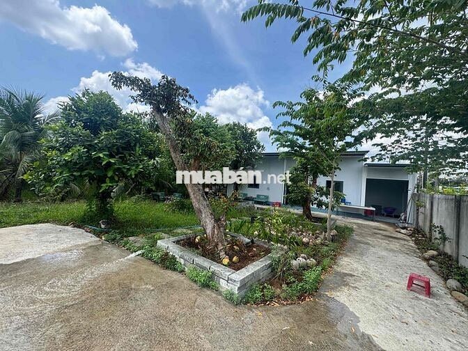 Đất nhà mặt tiền,full dừa xiêm,gần KCN và Cao tốc 33